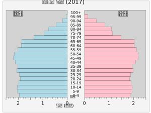 프랑스의 인구 피라미드