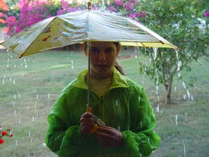 장마(6월 11일경), 우산의 날