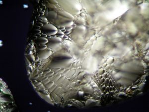 콜레스테릭 결정의 현미경 사진