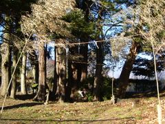 마을 이름의 유래가 된 고부치 연못과 고부치 신사.