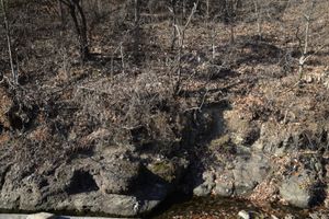 대구광역시 군위군 효령면 장군리 녹동길 도로변