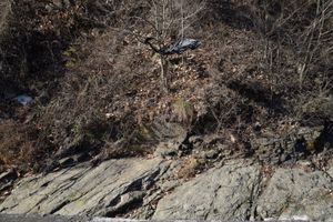 대구광역시 군위군 효령면 장군리 녹동길 도로변