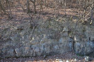 대구광역시 군위군 효령면 장군리 녹동길 도로변