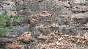 대구광역시 달성군 하빈면 기곡리 산 34-1