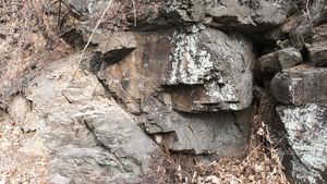 대구광역시 달성군 하빈면 묘리 산 45