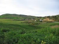 튀니지 북부 평원