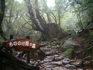 『원령 공주』의 무대가 된 숲. 이후 간판은 철거되어 "원령의 숲"으로 통칭되고 있다.